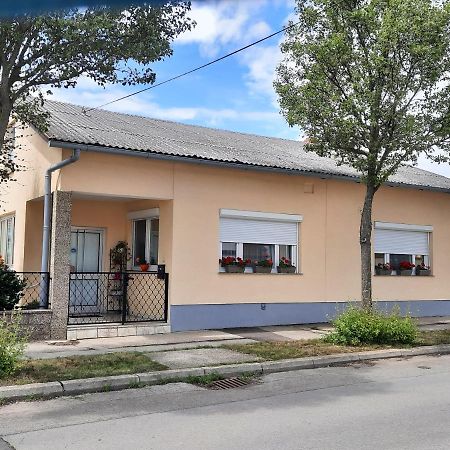 Ferienhaus Lina Neusiedl am See Ngoại thất bức ảnh
